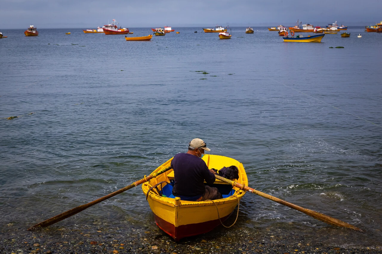 Pescadores acusan enriquecimiento de industriales a costas de artesanales: Piden aumentar cuotas