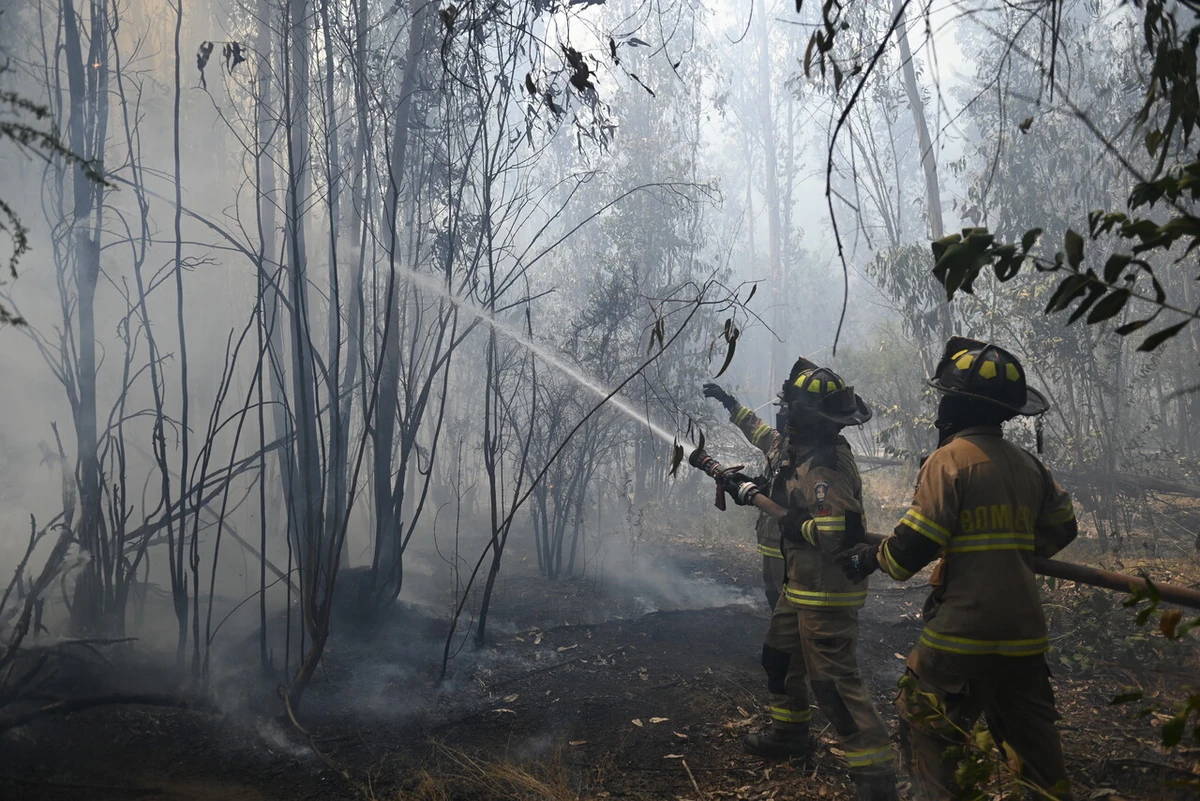 Domingo con 38°C a la sombra: DMC actualiza su Alerta Meteorológica y se eleva peligro de incendios