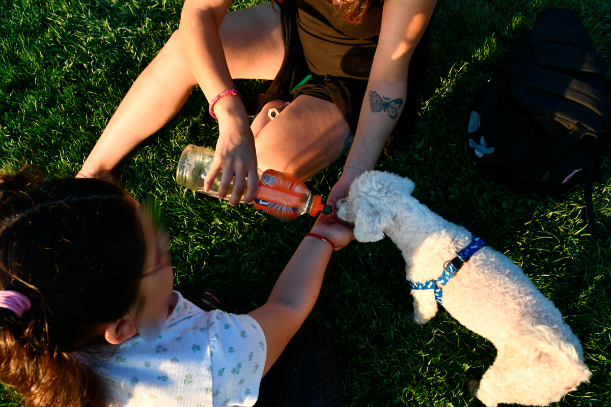 ¡Qué calor de locos nenas! Consejos para proteger a tus niños y mascotas en este histórico día