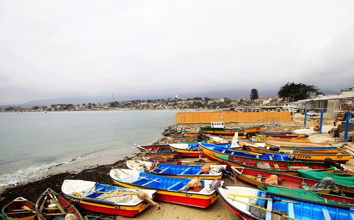 Reafirmando su compromiso con la pesca artesanal: Diputada Castillo se reunió con dirigentes de Coquimbo