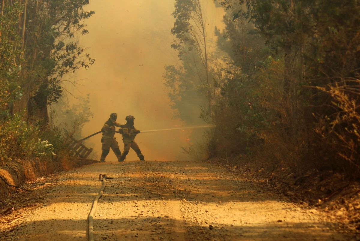 Alerta SAE: Senapred ordena evacuación en Los Álamos en Biobío por peligroso incendio forestal