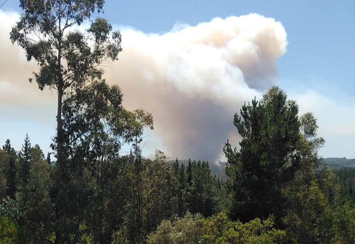 Alerta SAE: Senapred llama a evacuar zonas de Hualqui en el Biobío por amenaza de incendio forestal