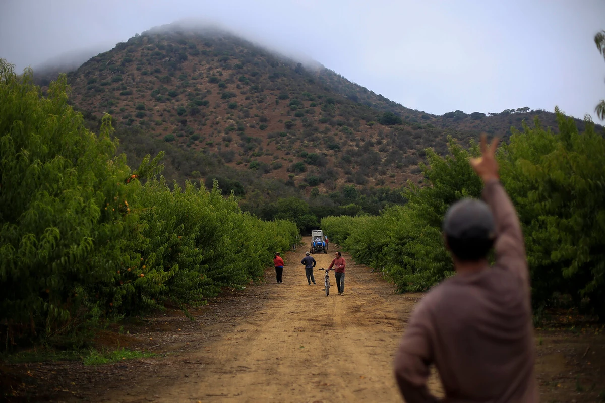 Ministra Sandoval: “Estamos entregando tierras fiscales sin uso para que los jóvenes se queden en el campo”