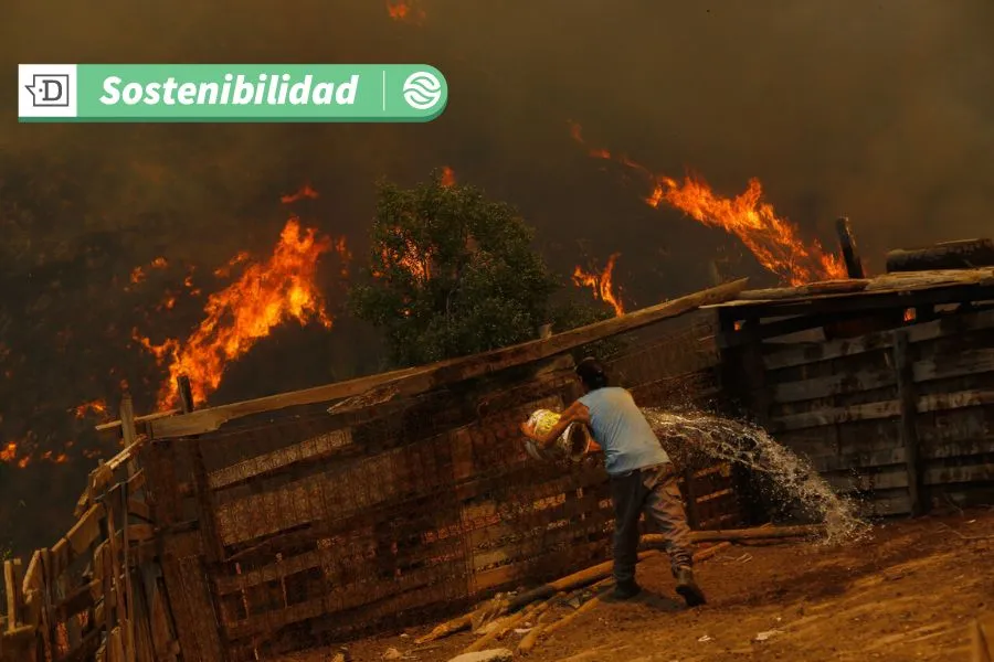 Calor extremo: En 2025 la sostenibilidad es el camino para un clima y un futuro más seguro