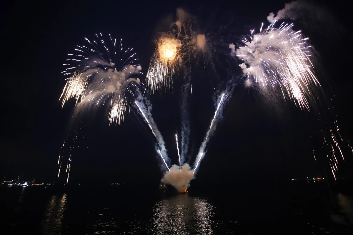 Liberan tóxicos al aire y shockean a la fauna: El impacto de los fuegos artificiales en el ambiente