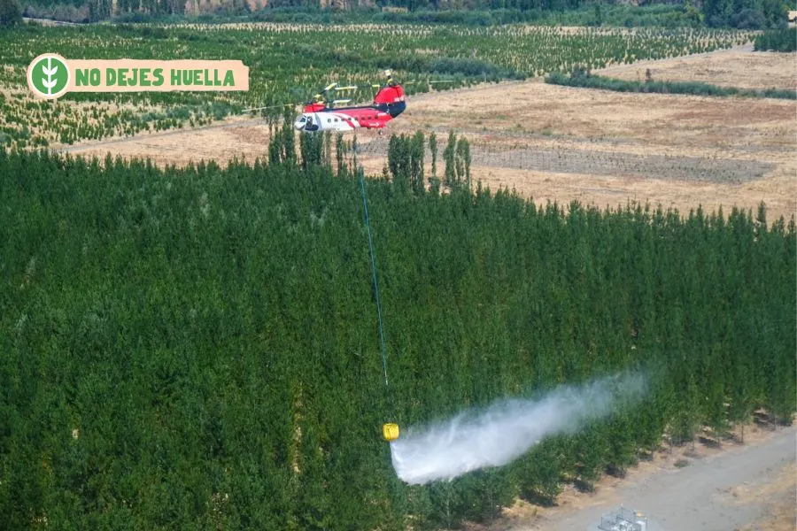 Prevención comunitaria, capacitación y estrategia para combatir incendios forestales en el 2025