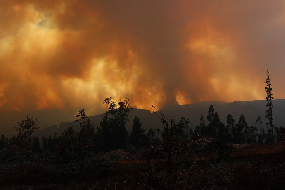 Incendios forestales: Todos los factores de inicio y propagación “están presentes este verano”