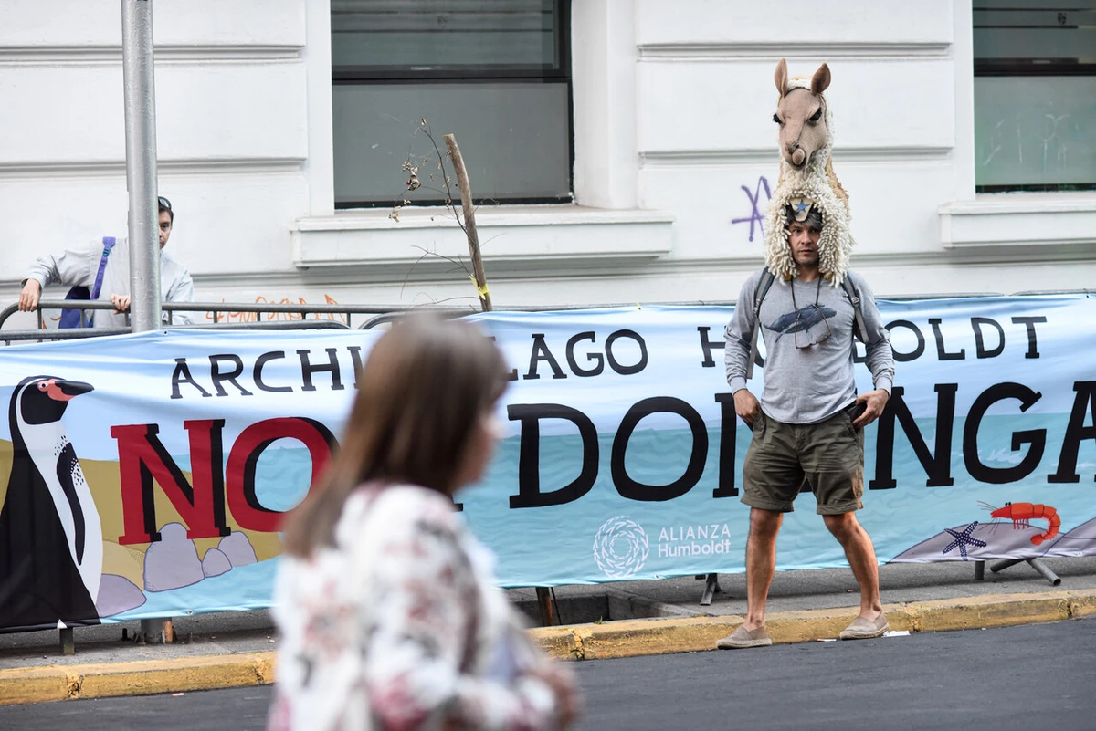 Comité de Ministros rechaza otra vez a Dominga: Proyecto no garantiza seguridad de especies