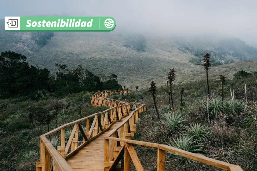 Prepárate para visitar parques nacionales este verano: Chile se posiciona como líder en turismo sostenible en Sudamérica