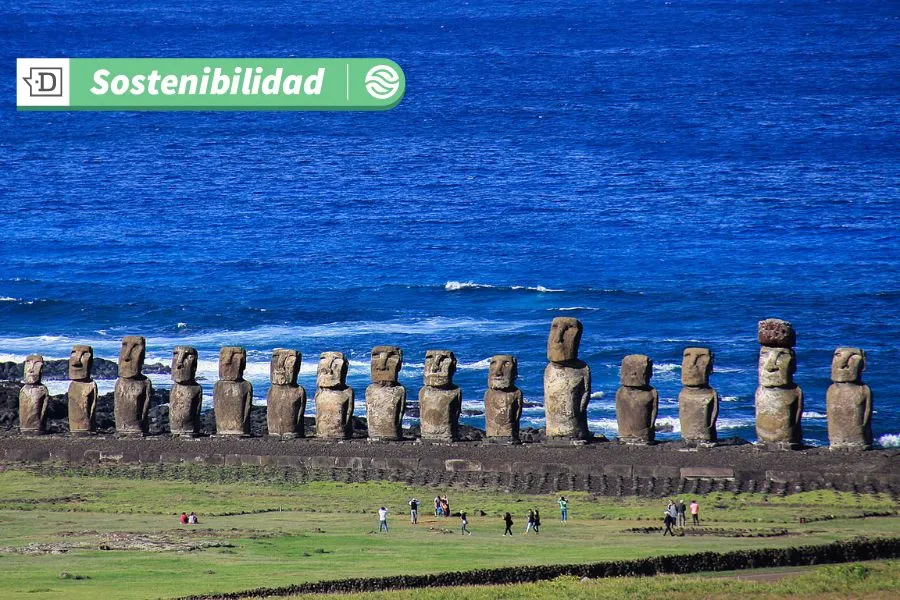 Rapa Nui es una excepción en el Pacífico: estudio revela que es la isla con menor contaminación en peces de arrecifes