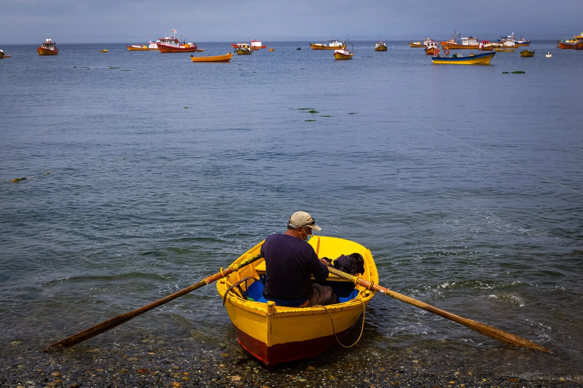 Presidente Boric desmiente rumores de retroceder en Ley de Fraccionamiento en favor de pescadores artesanales