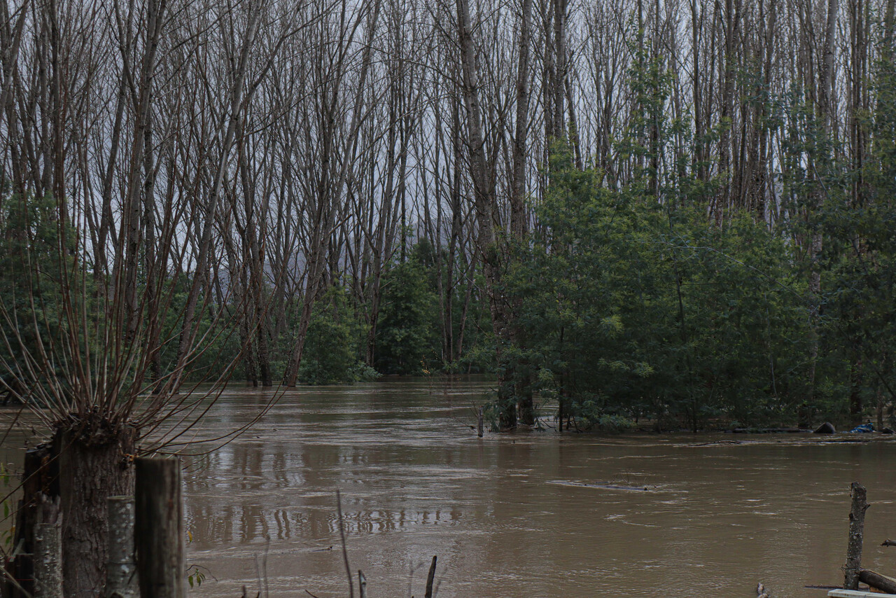 Senapred vuelve a decretar Alerta Roja en Arauco: Evacuación por desborde de río Pichilo