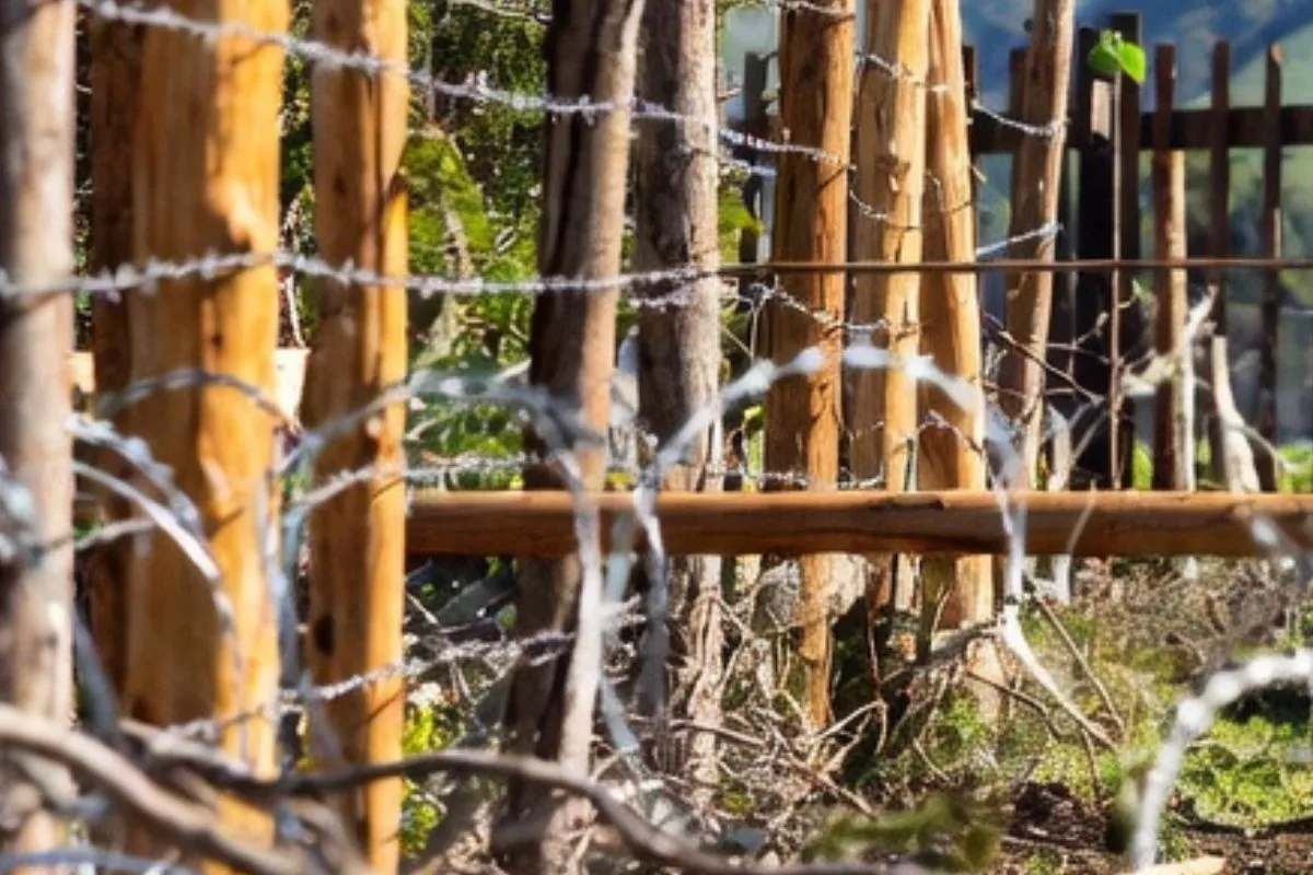 Bloquearon con estacas, alambre y troncos callejón usado por más de 30 años y dejaron sin acceso a vecinos: Corte ordenó despeje
