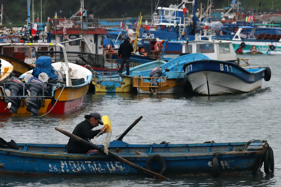 Bobadilla "cada vez más solo": Aprueban legislar fraccionamiento pesquero que corrige inequidad