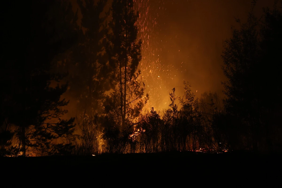 Cable eléctrico de 20 años sin mantención provocó incendio forestal: Juzgado condenó a eléctrica a indemnizar a dueños de predios