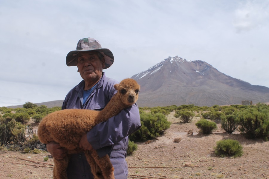 Comunidades mapuche, quechua y aymara buscan certificar técnicas agrícolas como patrimonio mundial