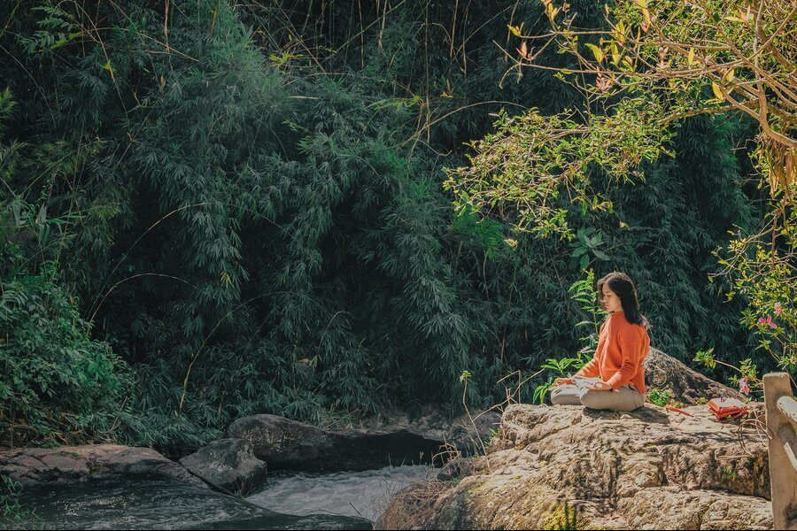 Caminar 30 minutos por un bosque reduce el estrés y aumenta niveles de relajación según estudio