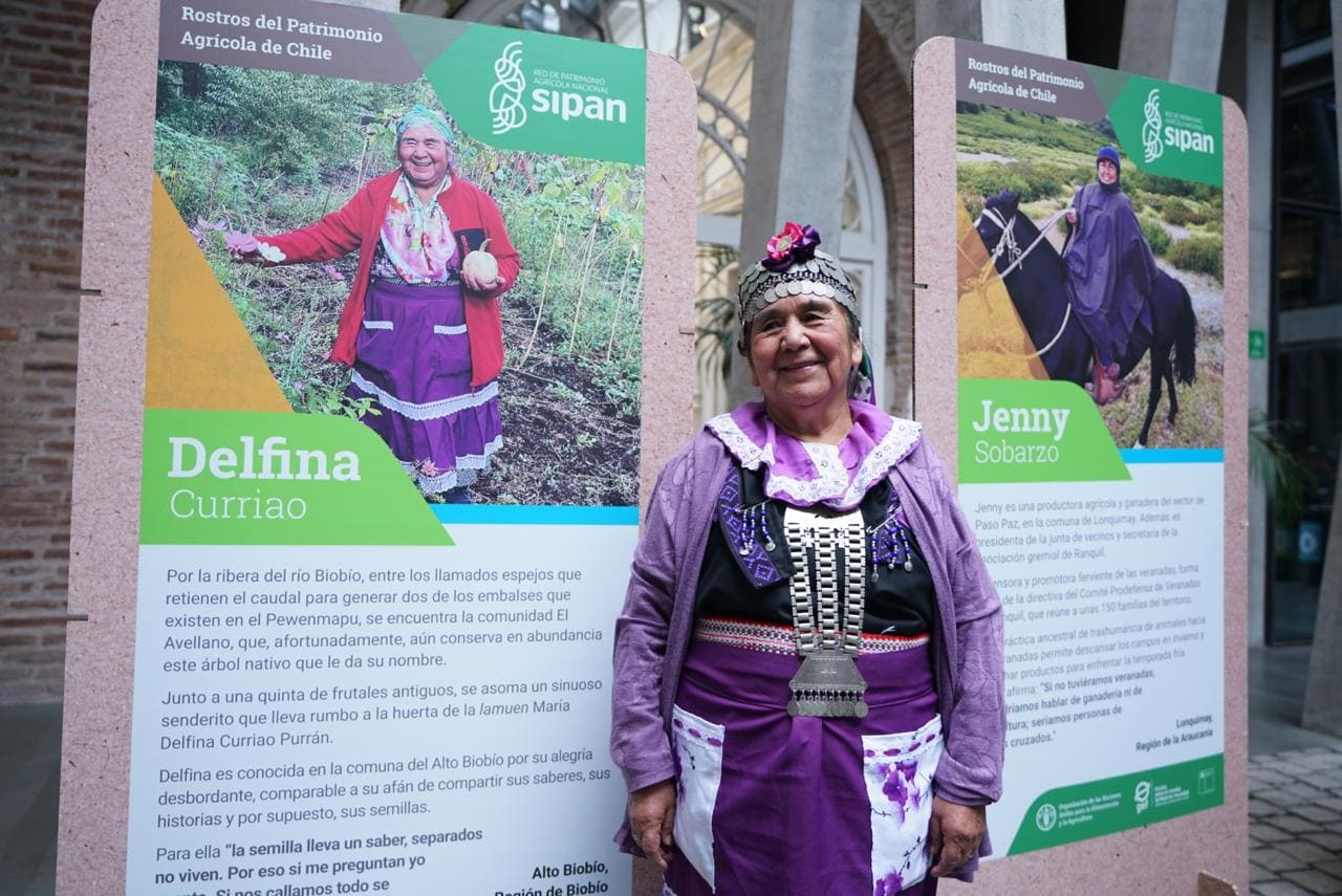 Chile postula a distinción mundial de sitios como Patrimonio Agrícola de la FAO