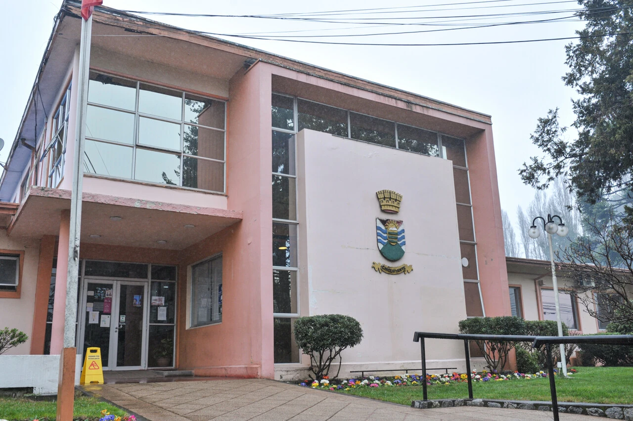 Chocó contra un árbol por gravilla y aceite en calle: Municipio deberá pagarle $8,3 millones por mal estado de la vía