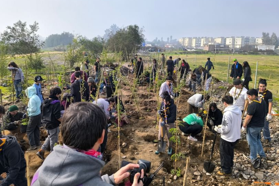 Con método Miyawaki voluntarios reforestarán Humedal Mapocho con 700 árboles