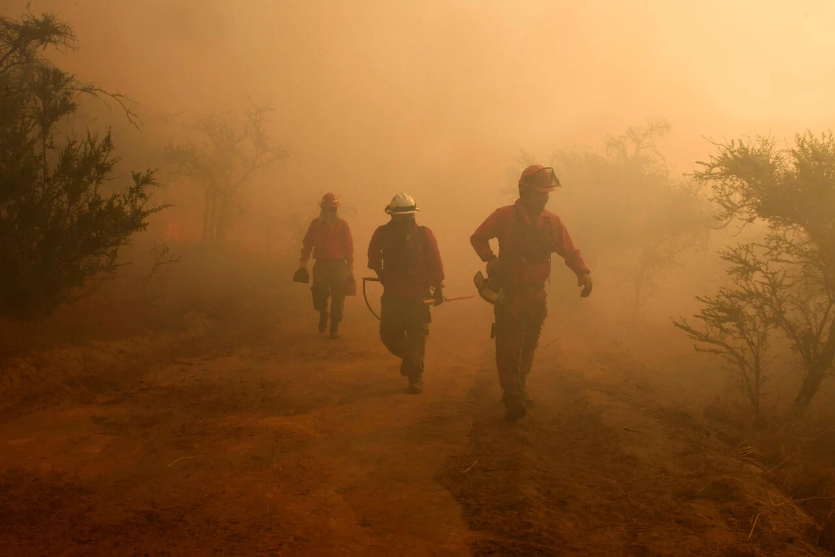 Conaf informa que mantiene combate contra 6 incendios y activa botón rojo en 168 comunas por alto riesgo de propagación