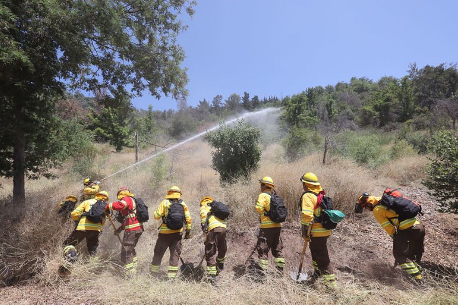 Construirán 3.700 km de cortafuegos en zonas de riesgo para prevenir incendios forestales