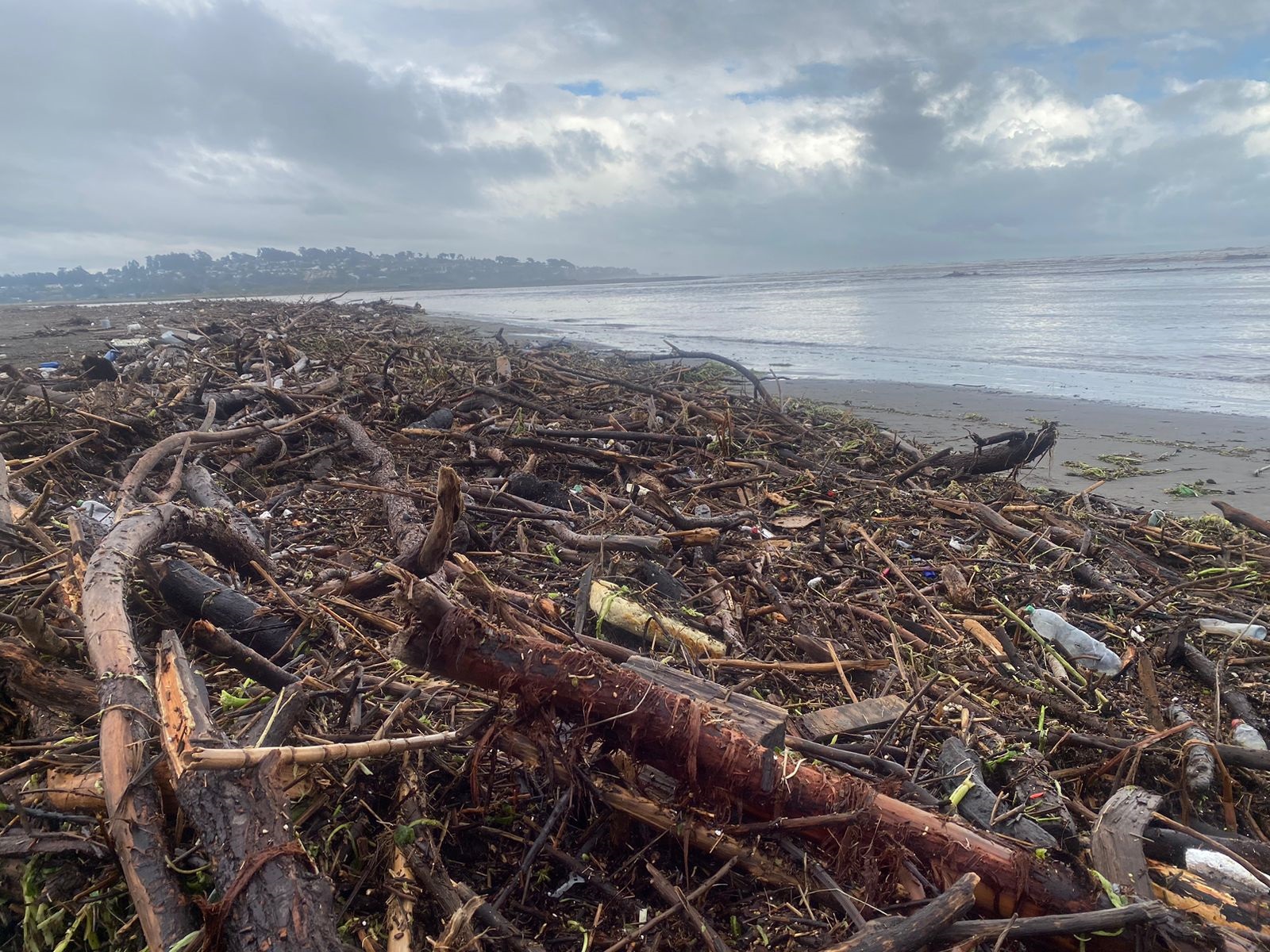 Vecinos de San Antonio limpian 3 km de playa que quedaron tapados en basura tras las lluvias