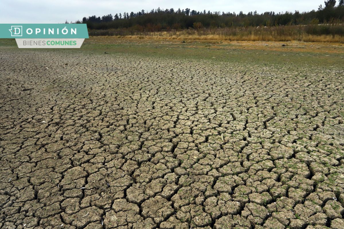 Avanzando la desertificación: Cómo nuestra desconexión alimenta la sequía