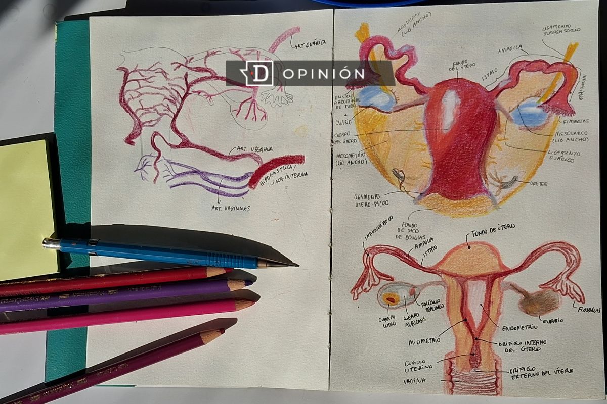 Medicina y dibujo, una relación virtuosa