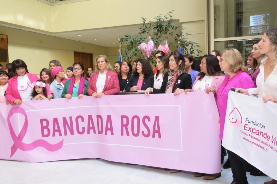 Diputadas crean Bancada Rosa: Piden más recursos para tratamientos del cáncer de mama