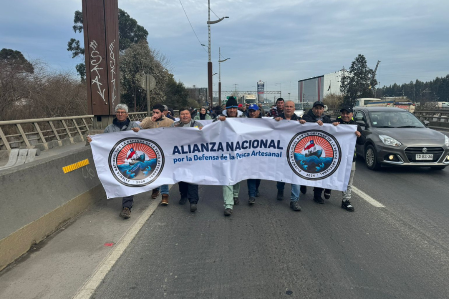 El colmo de pescadores artesanales: Deben comprarle sardina a industriales 