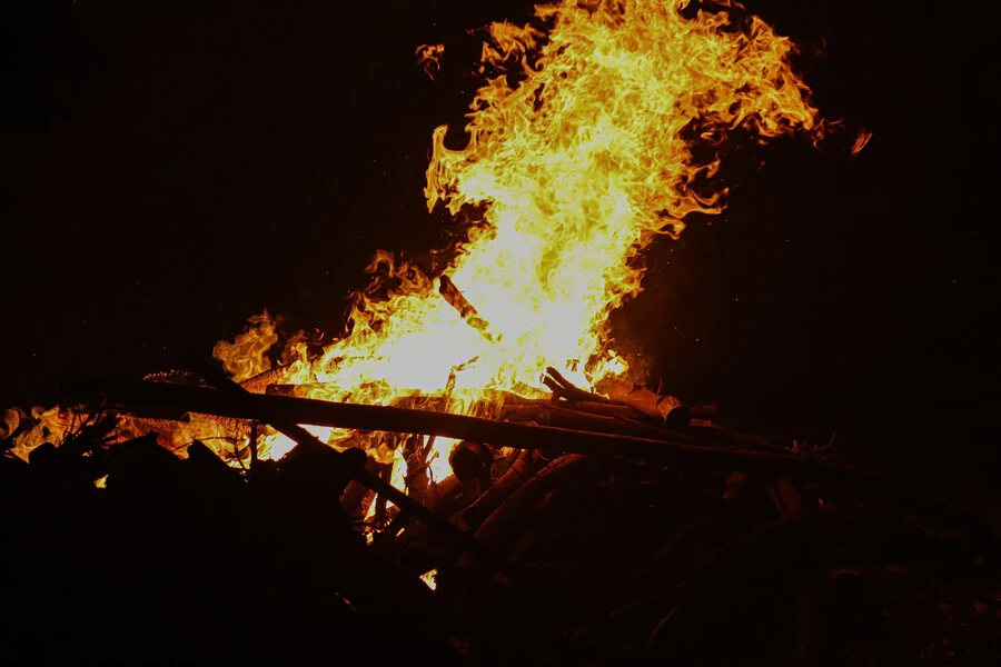 Empresa eléctrica de Tirúa indemnizará a dueño de cabaña incendiada por caída de un pino sobre su cableado