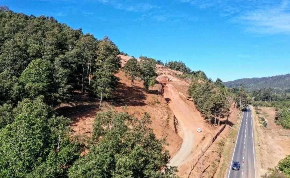 Empresario intervino cerro y causó daños irreversibles en humedal prioritario: Piden 8 años de cárcel y multa de $1.700 millones