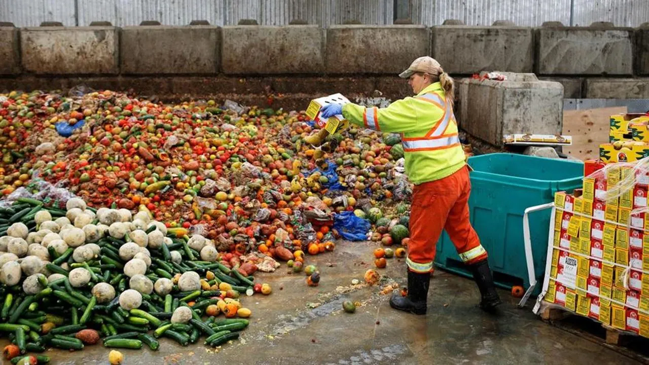En Chile se pierden 5,2 millones de toneladas de alimentos al año mientras 800 mil personas pasan hambre
