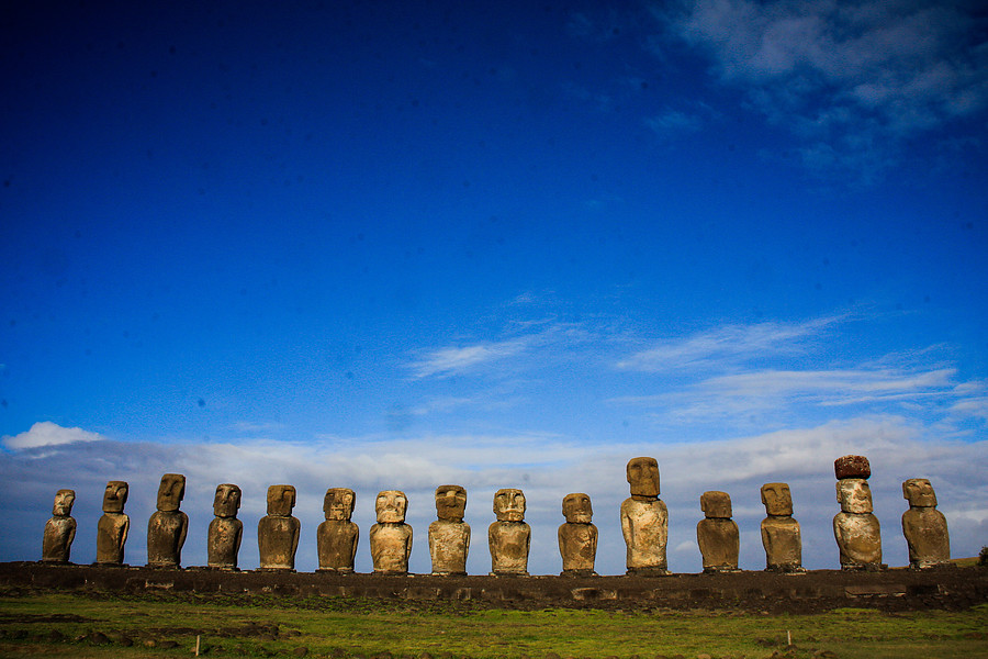 Estudio niega "ecocidio" por parte de Rapanui y destaca su supervivencia con población limitada