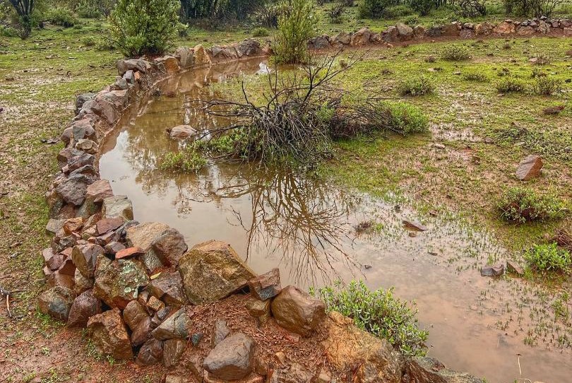 Mini humedales: La tendencia contra la sequía que se toma los cerros de Santiago