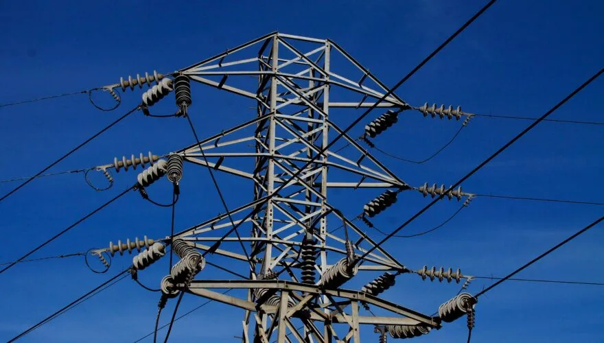 Impidió mantenimiento de línea eléctrica de alta tensión que pasa por su propiedad porque podarían árboles: Corte ordenó dar acceso