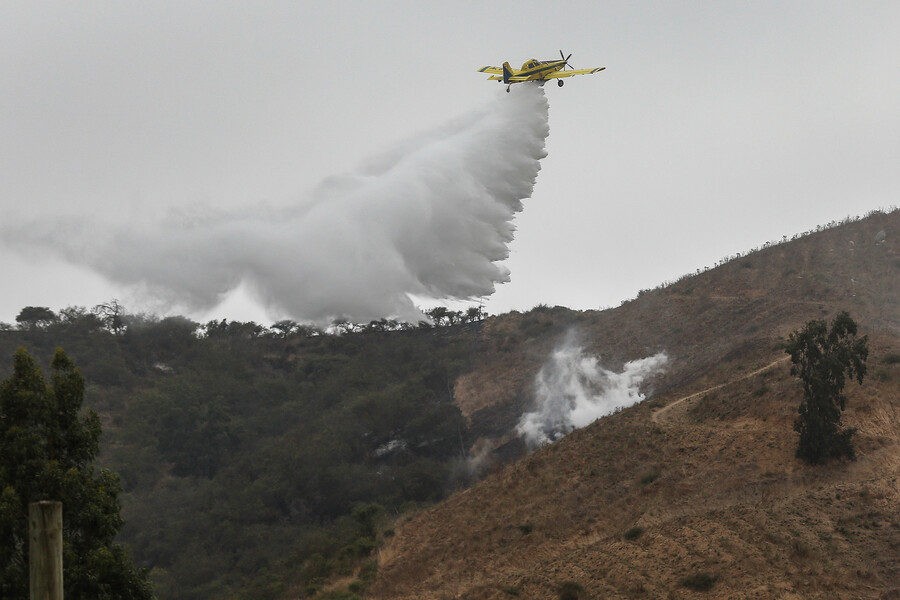 Incendios forestales en 5 regiones del país: Valparaíso en Alerta Amarilla tras fuerte avance