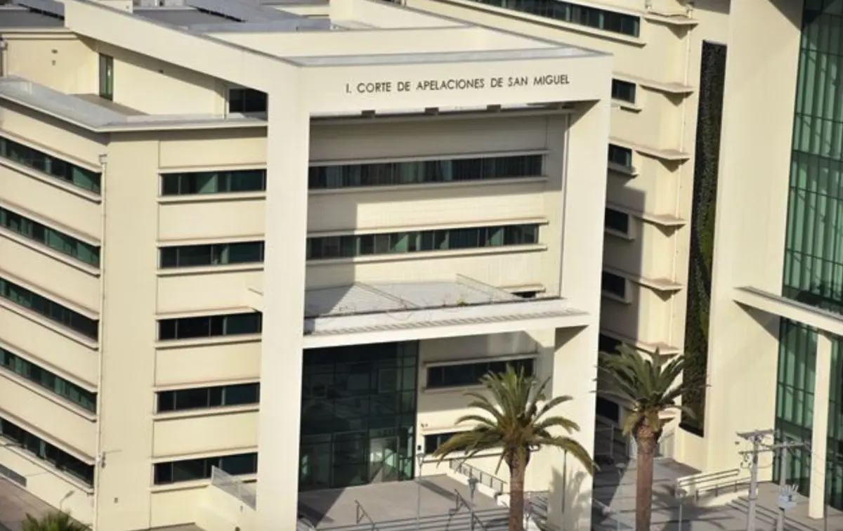 Le debía $7,2 millones de pensión a su hija y pidió frenar arresto por afectar su trabajo como artista: Corte rechazó