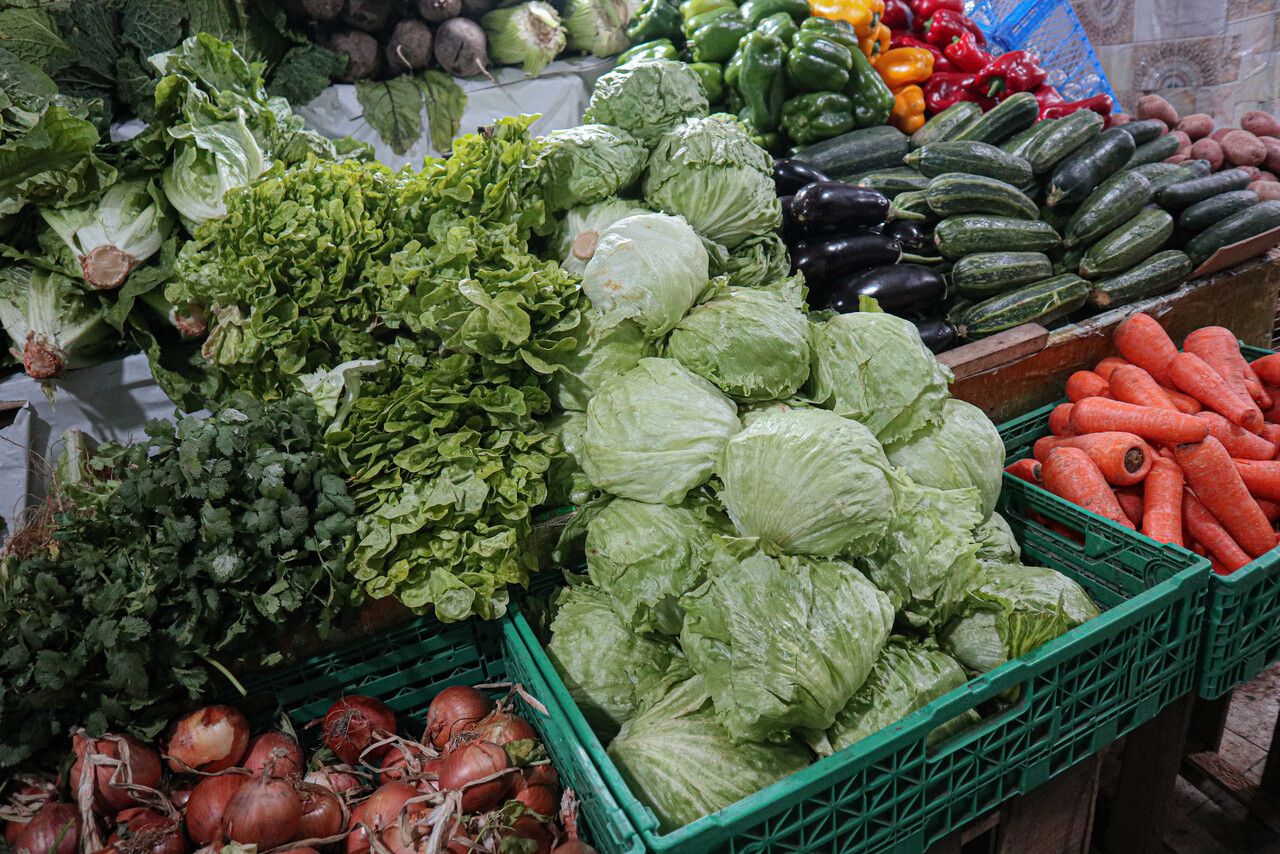 Lechuga lidera listado: Ministro de Agricultura detalla las verduras que subirán tras lluvias