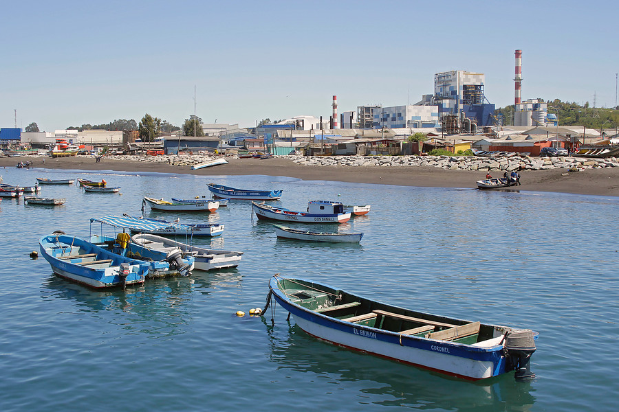 Oposición ingresa 211 indicaciones idénticas de gremial pesquera a proyecto de Ley de Pesca