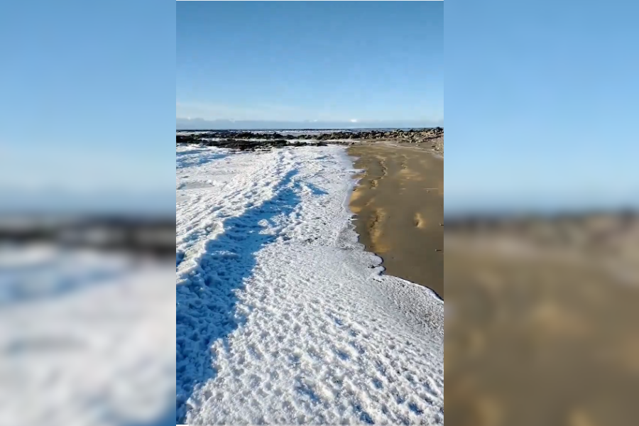 VIDEO| Se congeló el mar en Tierra del Fuego tras fuertes heladas