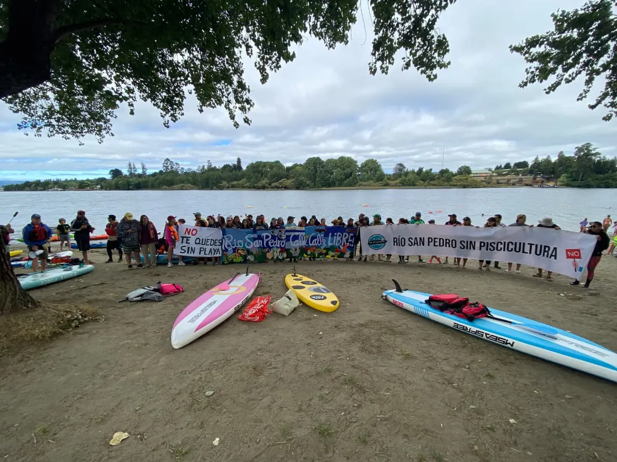 Más de 100 embarcaciones marchan en Valdivia contra proyecto salmonero en el río San Pedro–Calle Calle