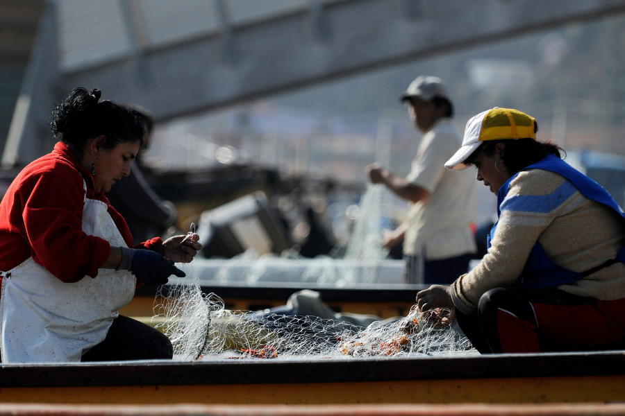 Pesca industrial a altamar: Pescadoras apoyan y ejecutivo de Alimar lo tilda de aberración