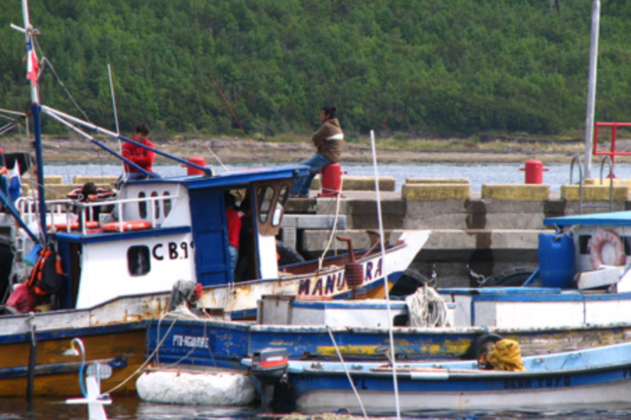 Para que perdure en el tiempo: 34 sindicatos de pesca trabajan por cuidado de la merluza del sur