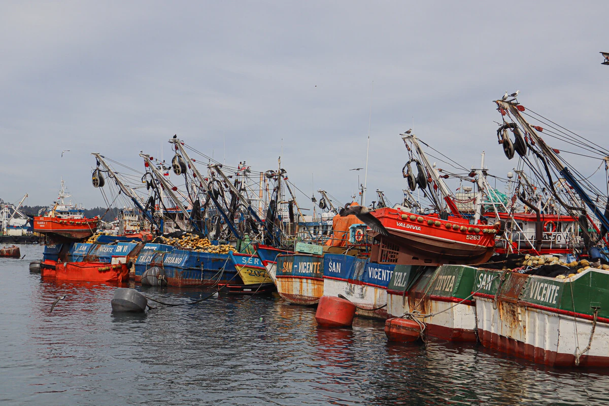 Pesca artesanal acusa a PacificBlu de usar de 