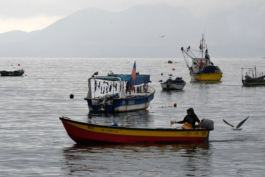 Pescador artesanal no quiso ser fiscalizado por Sernapesca: Corte impone multa de $2 millones