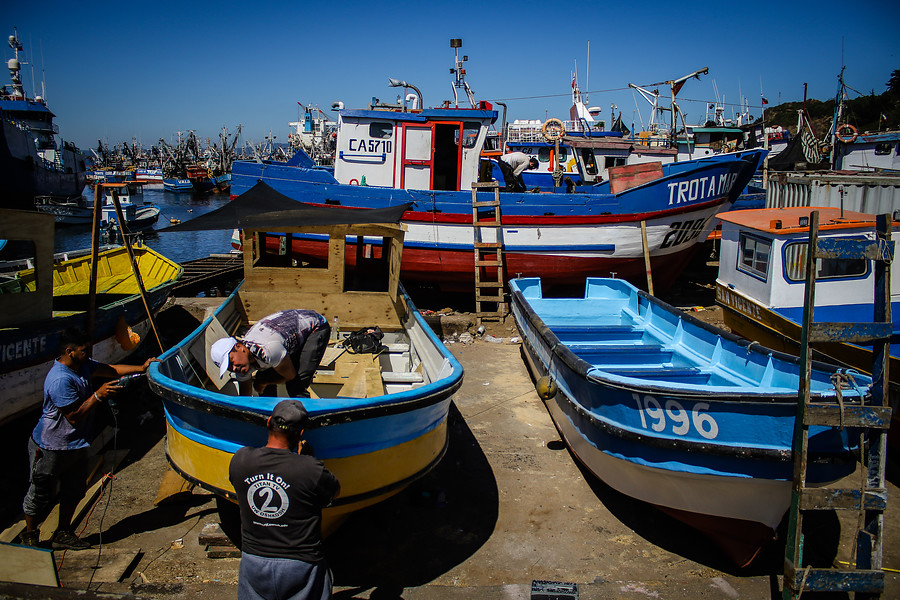 Pescadores tachan de "retroceso" propuesta que modifica reposición de arrastre de la jibia