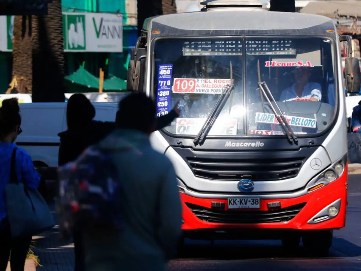 Por cartel en el parabrisas: Chofer, dueño y empresa de bus indemnizarán con $50 millones a familia de peatona muerta