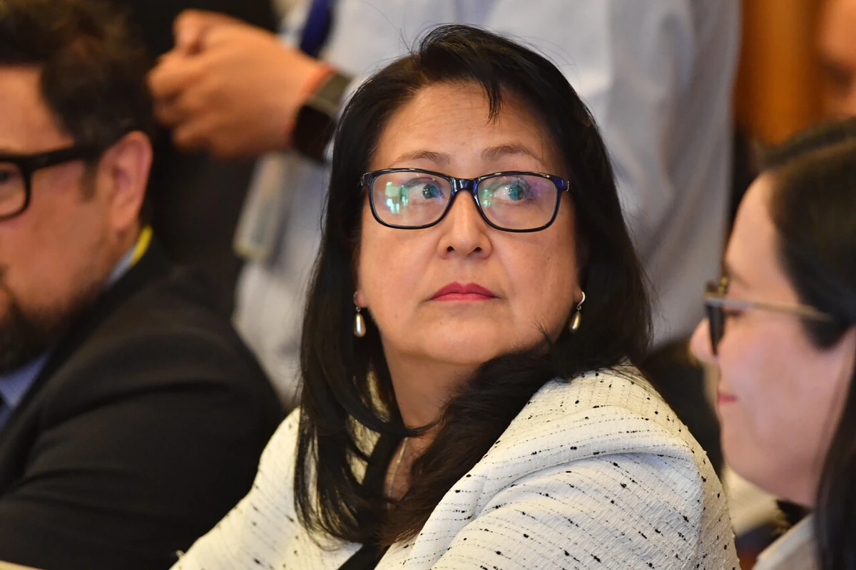 Por exigir RUT e identidad de género de niños trans al Minsal: Corte admite recurso contra Dorothy Pérez